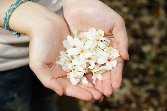 Hands offering flowers - Simple Gift Giving