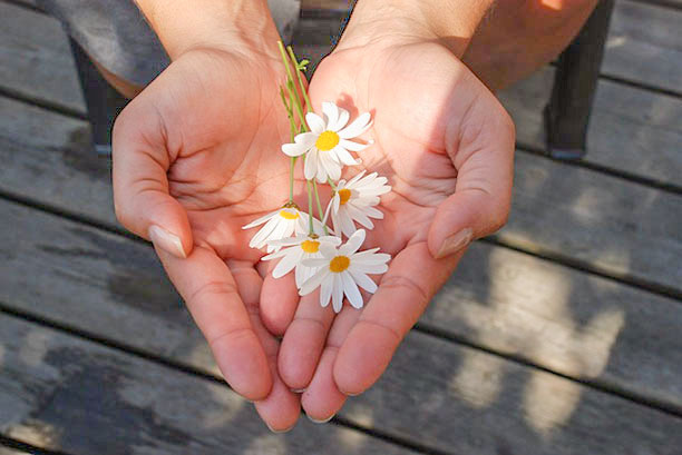 hands-with-daisies-2