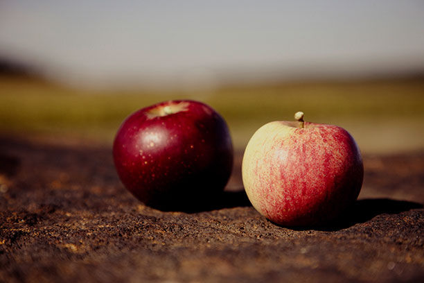 Apples - Mindful eating