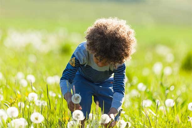 Boy Picking Dandelions - Unschooling and Self Worth